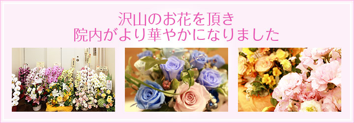 沢山のお花を頂き、院内がより華やかになりました